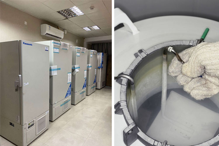 低温冰箱与液氮罐 低温冰箱与液氮罐